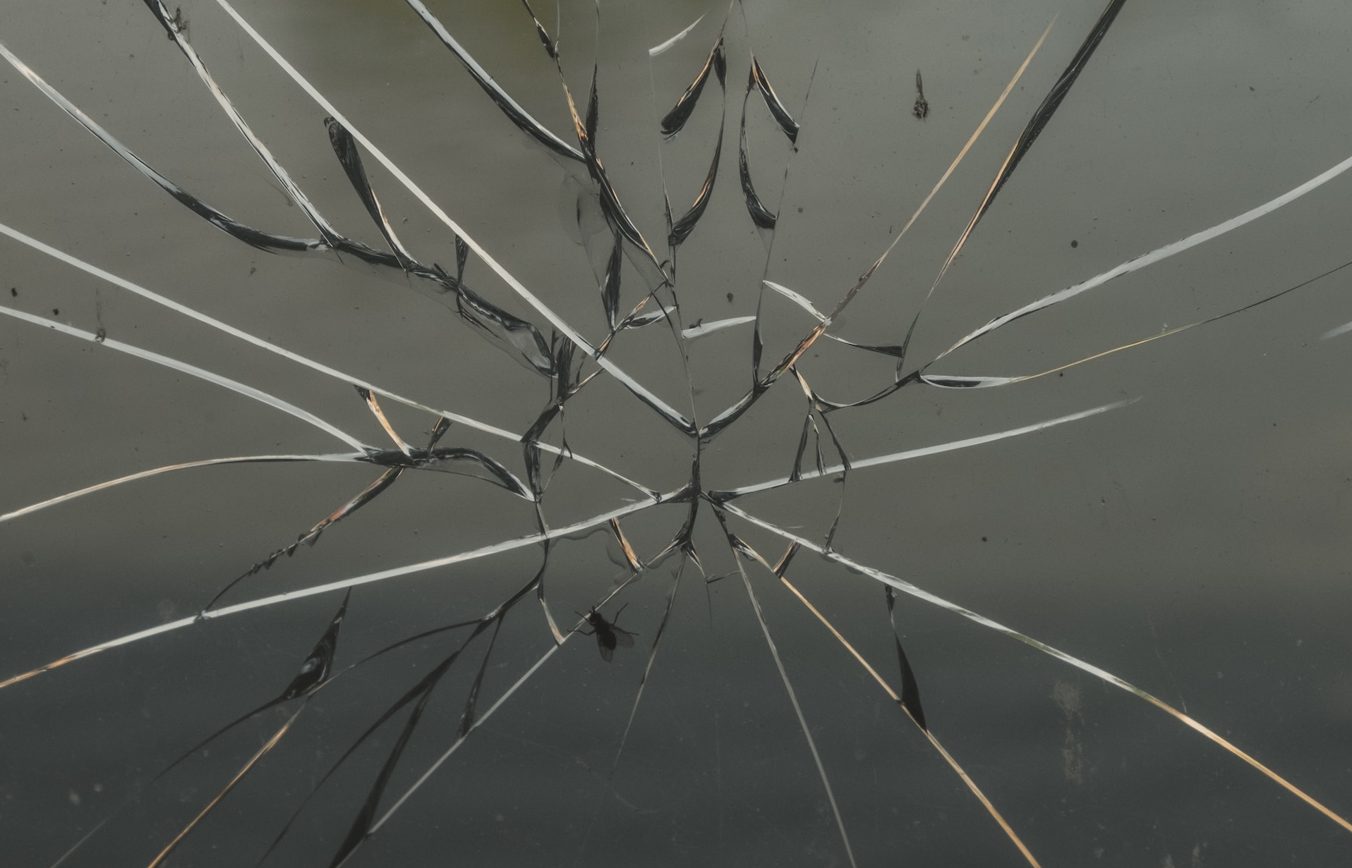 The Art of Destroying Men and Women